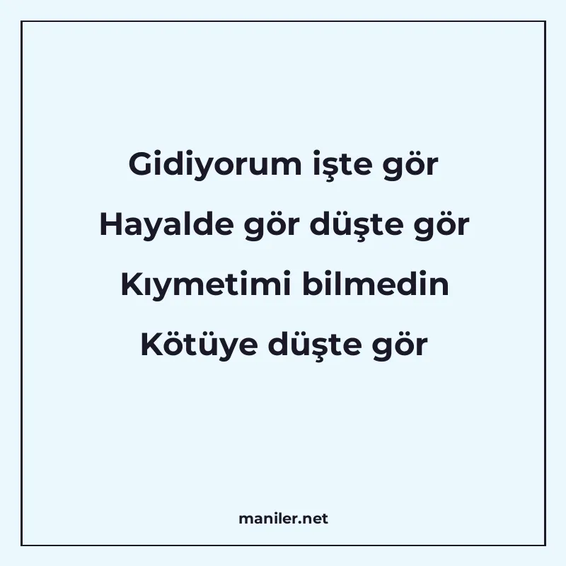 Gidiyorum işte gör Hayalde gör düşte gör Kıymetimi bilmedin manisi görseli