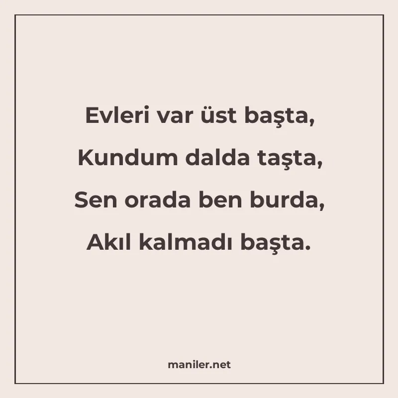 Evleri var üst başta, Kundum dalda taşta, Sen orada ben burd manisi görseli