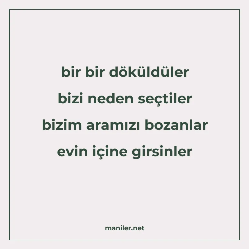 bir bir döküldüler bizi neden seçtiler bizim aramızı bozanla manisi görseli