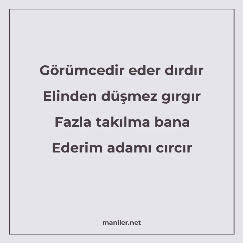 Görümcedir eder dırdır Elinden düşmez gırgır Fazla takılma b manisi görseli