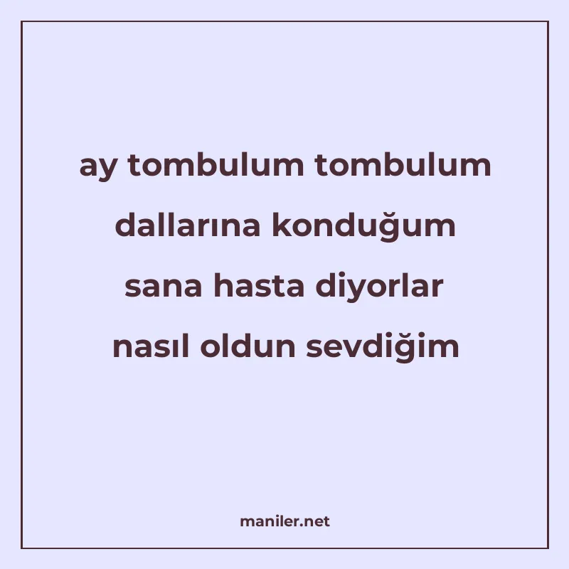 ay tombulum tombulum dallarına konduğum sana hasta diyorlar manisi görseli