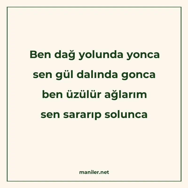 Ben dağ yolunda yonca sen gül dalında gonca ben üzülür ağlar manisi görseli
