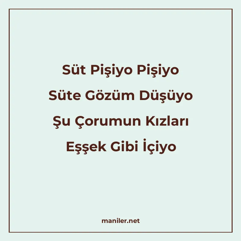 Süt Pişiyo Pişiyo Süte Gözüm Düşüyo Şu Çorumun Kızları Eşşek manisi görseli