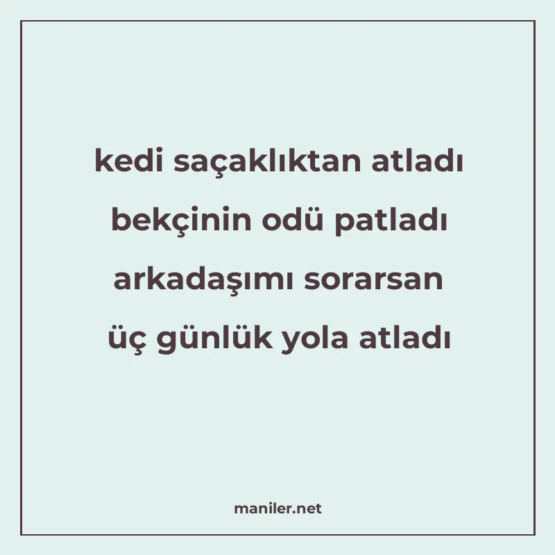 kedi saçaklıktan atladı bekçinin odü patladı arkadaşımı sora manisi görseli