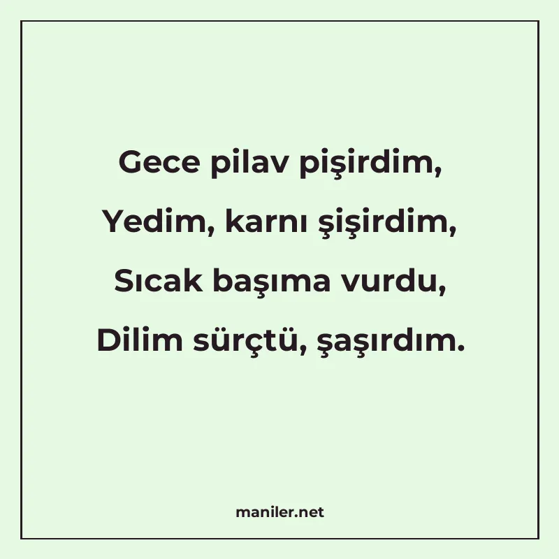 Gece pilav pişirdim, Yedim, karnı şişirdim, Sıcak başıma vur manisi görseli