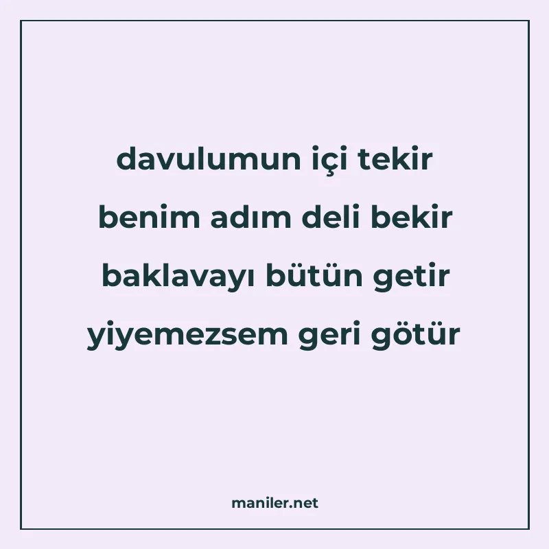 davulumun içi tekir benim adım deli bekir baklavayı bütün ge manisi görseli