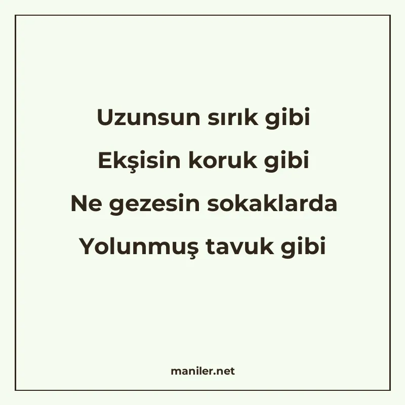 Uzunsun sırık gibi Ekşisin koruk gibi Ne gezesin sokaklarda manisi görseli
