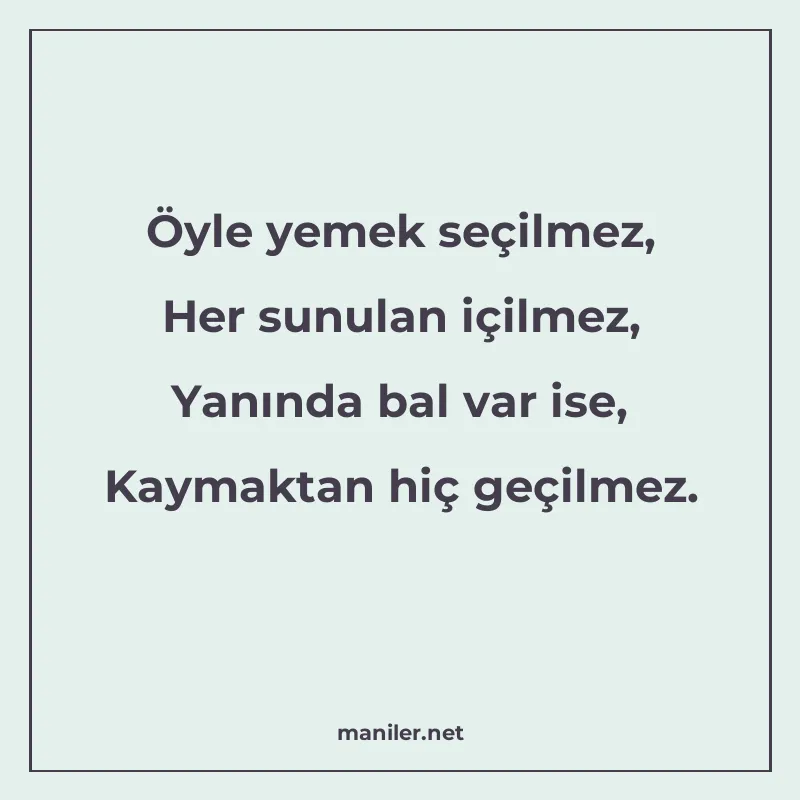 Öyle yemek seçilmez, Her sunulan içilmez, Yanında bal var is manisi görseli