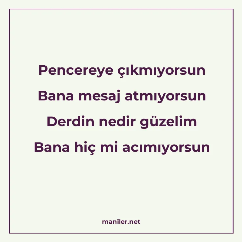 Pencereye çıkmıyorsun Bana mesaj atmıyorsun Derdin nedir güz manisi görseli
