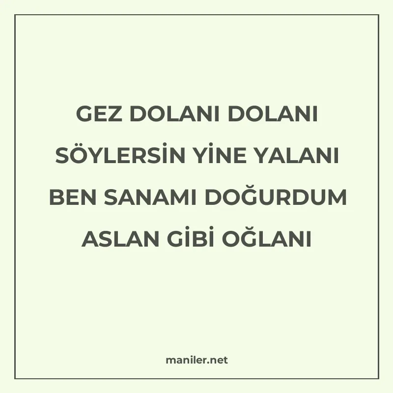 GEZ DOLANI DOLANI SÖYLERSİN YİNE YALANI BEN SANAMI DOĞURDUM manisi görseli