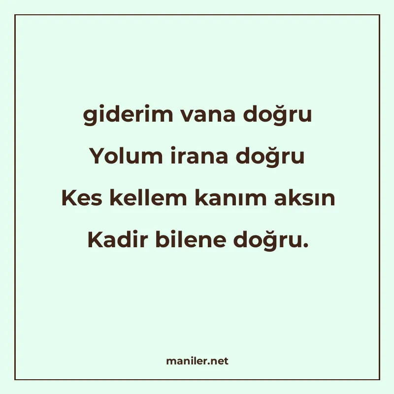 giderim vana doğru Yolum irana doğru Kes kellem kanım aksın manisi görseli