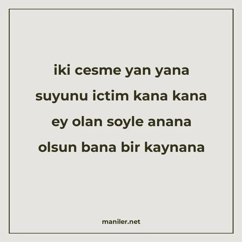 iki cesme yan yana suyunu ictim kana kana ey olan soyle anan manisi görseli