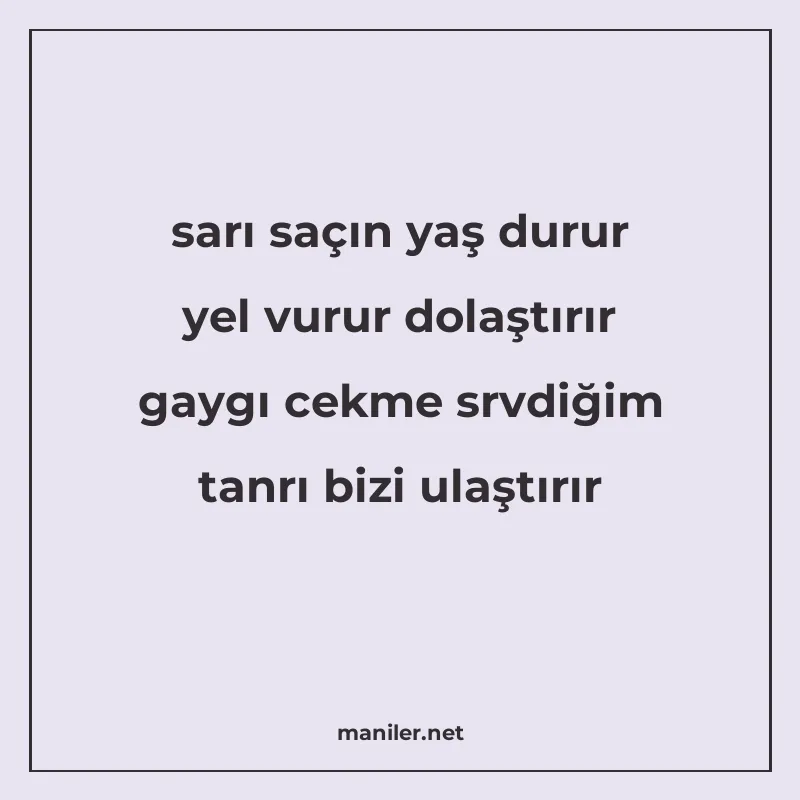 sarı saçın yaş durur yel vurur dolaştırır gaygı cekme srvdiğ manisi görseli