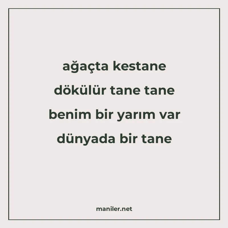 ağaçta kestane dökülür tane tane benim bir yarım var dünyada manisi görseli