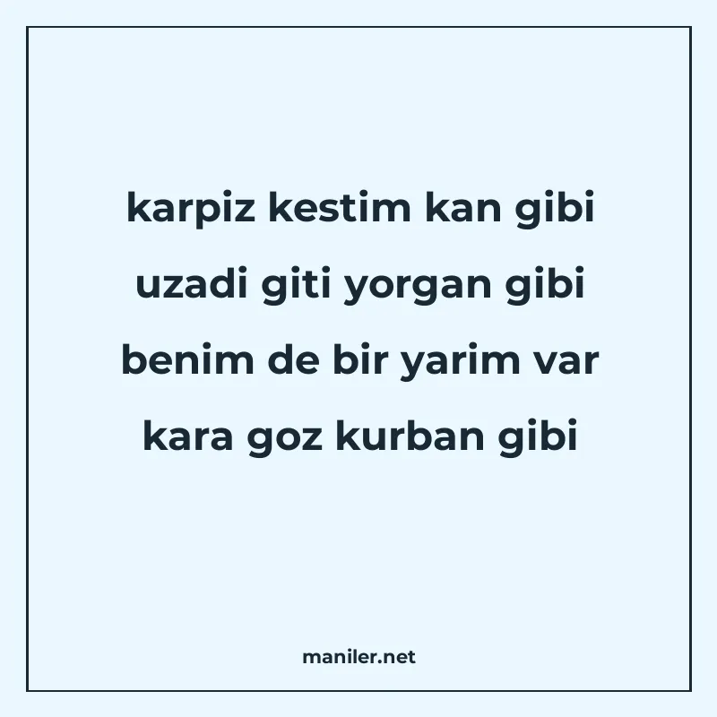 karpiz kestim kan gibi uzadi giti yorgan gibi benim de bir y manisi görseli