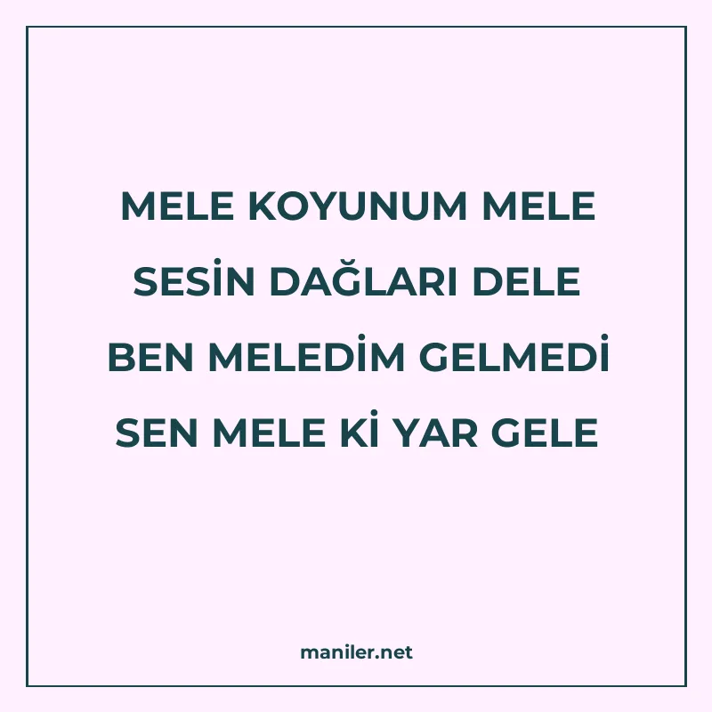 MELE KOYUNUM MELE SESİN DAĞLARI DELE BEN MELEDİM GELMEDİ SEN manisi görseli