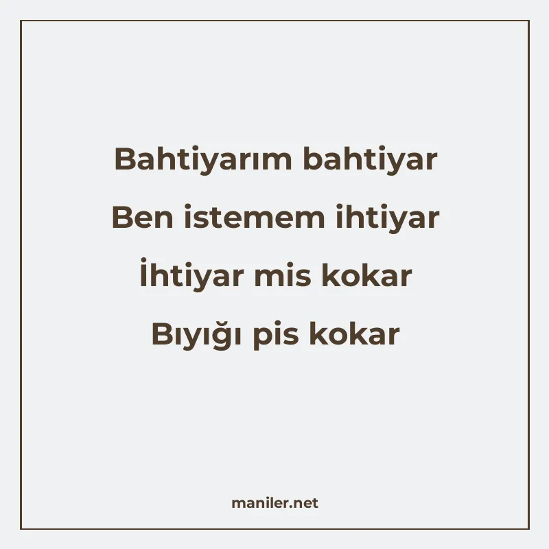 Bahtiyarım bahtiyar Ben istemem ihtiyar İhtiyar mis kokar Bı manisi görseli