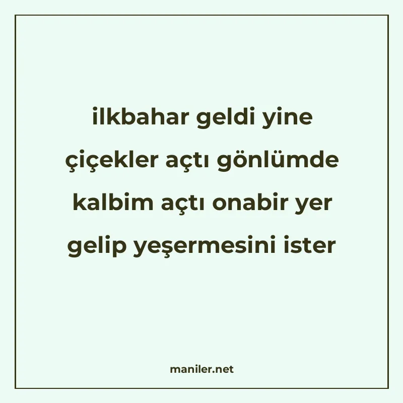 ilkbahar geldi yine çiçekler açtı gönlümde kalbim açtı onabi manisi görseli
