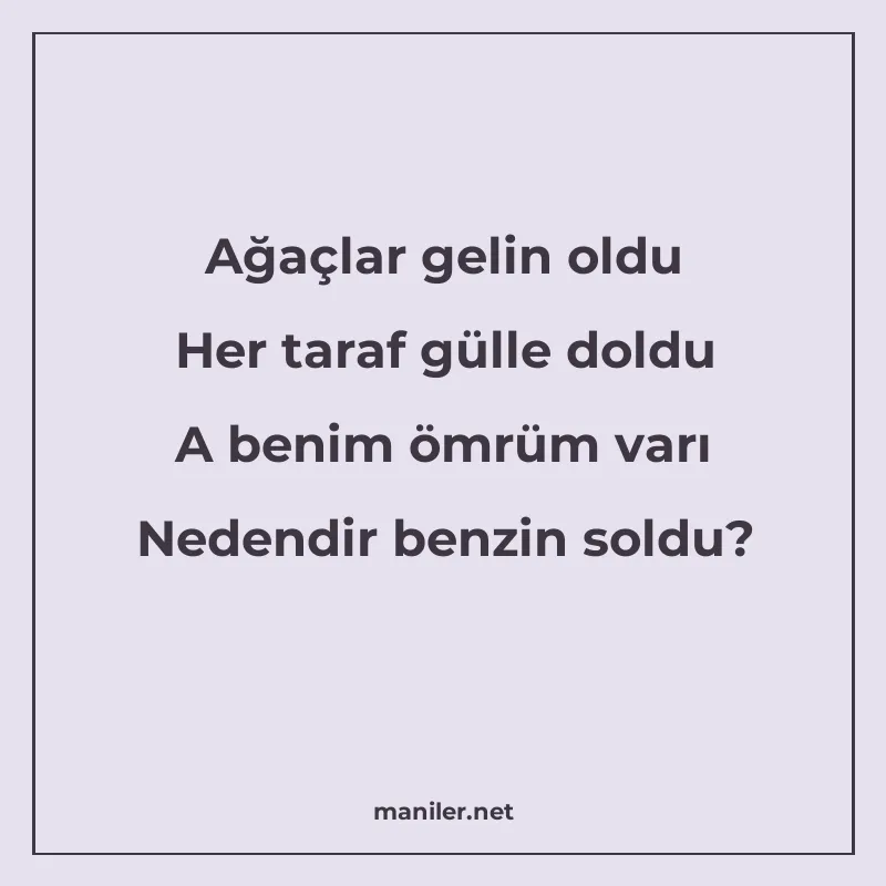 Ağaçlar gelin oldu Her taraf gülle doldu A benim ömrüm varı manisi görseli
