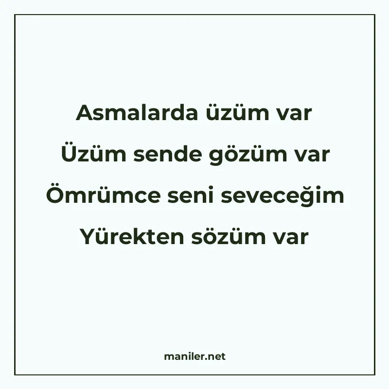 Asmalarda üzüm var Üzüm sende gözüm var Ömrümce seni seveceğ manisi görseli