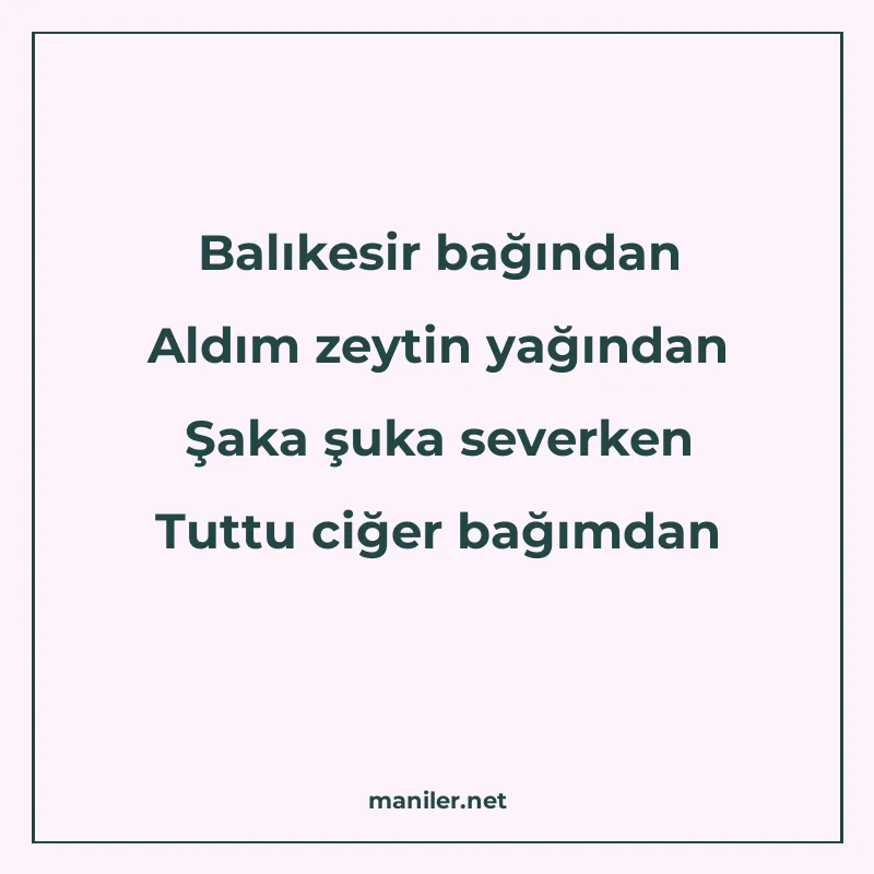 Balıkesir bağından Aldım zeytin yağından Şaka şuka severken manisi görseli