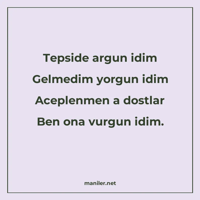 Tepside argun idim Gelmedim yorgun idim Aceplenmen a dostlar manisi görseli
