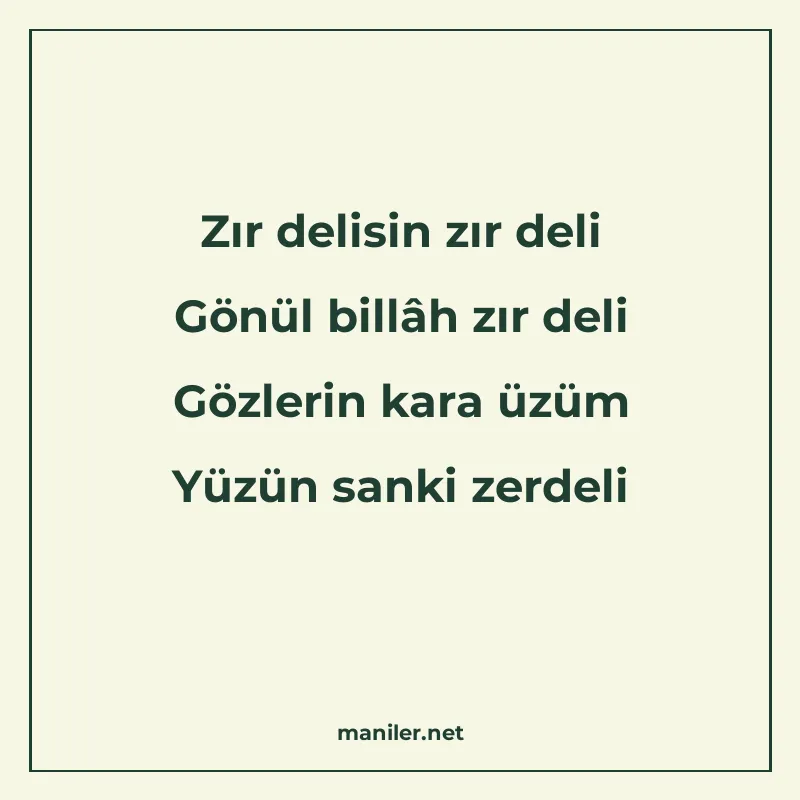 Zır delisin zır deli Gönül billâh zır deli Gözlerin kara üzü manisi görseli