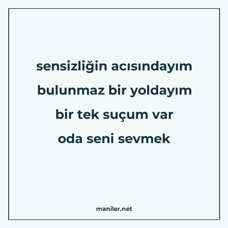 sensizliğin acısındayım bulunmaz bir yoldayım bir tek suçum manisi görseli