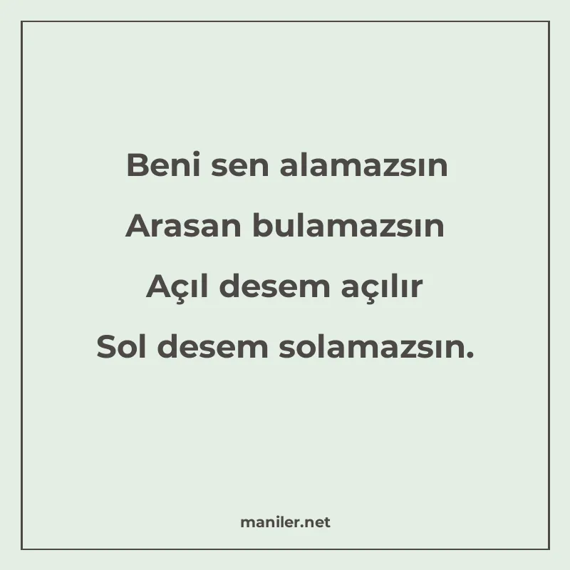 Beni sen alamazsın Arasan bulamazsın Açıl desem açılır Sol d manisi görseli