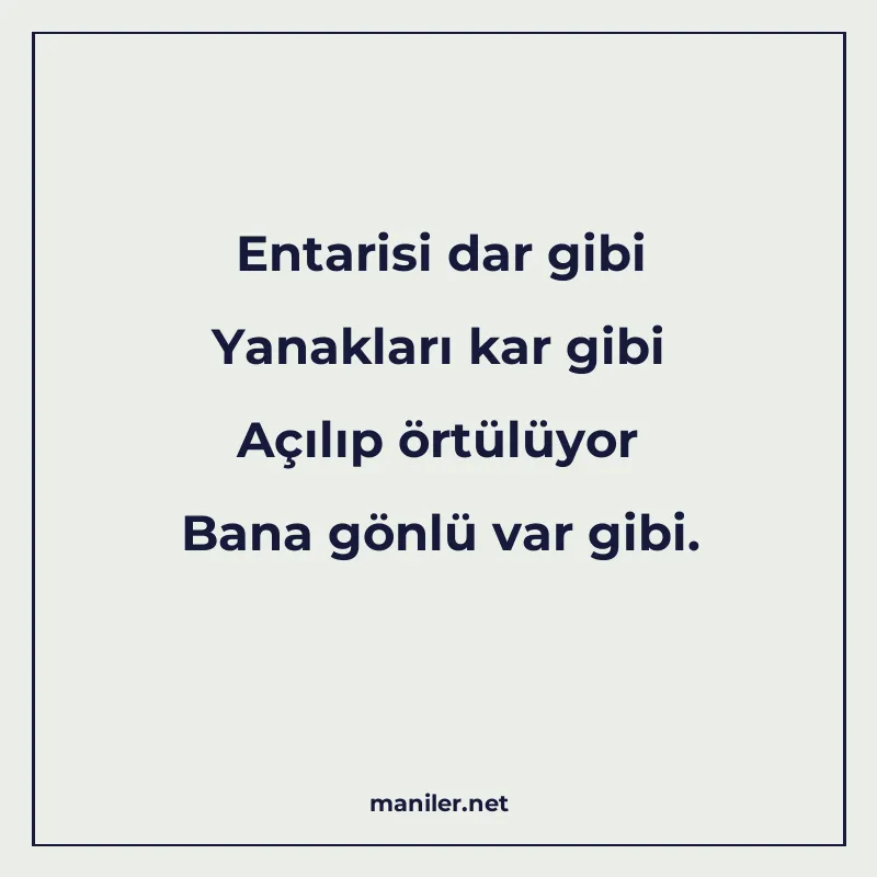 Entarisi dar gibi Yanakları kar gibi Açılıp örtülüyor Bana g manisi görseli