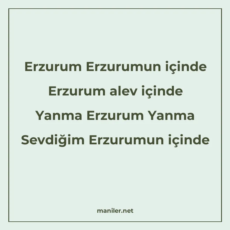 Erzurum Erzurumun içinde Erzurum alev içinde Yanma Erzurum Y manisi görseli