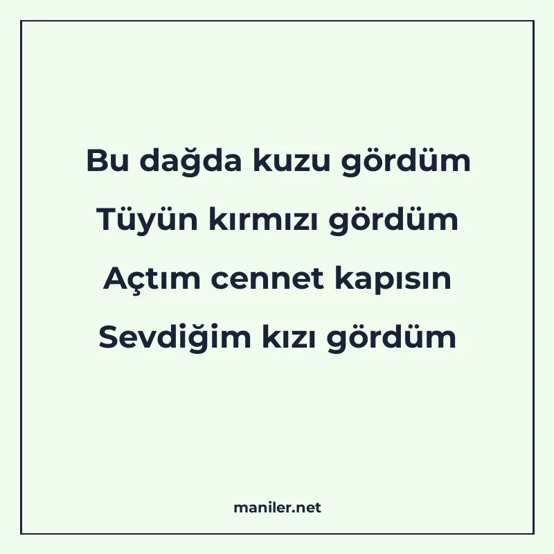 Bu dağda kuzu gördüm Tüyün kırmızı gördüm Açtım cennet kapıs manisi görseli