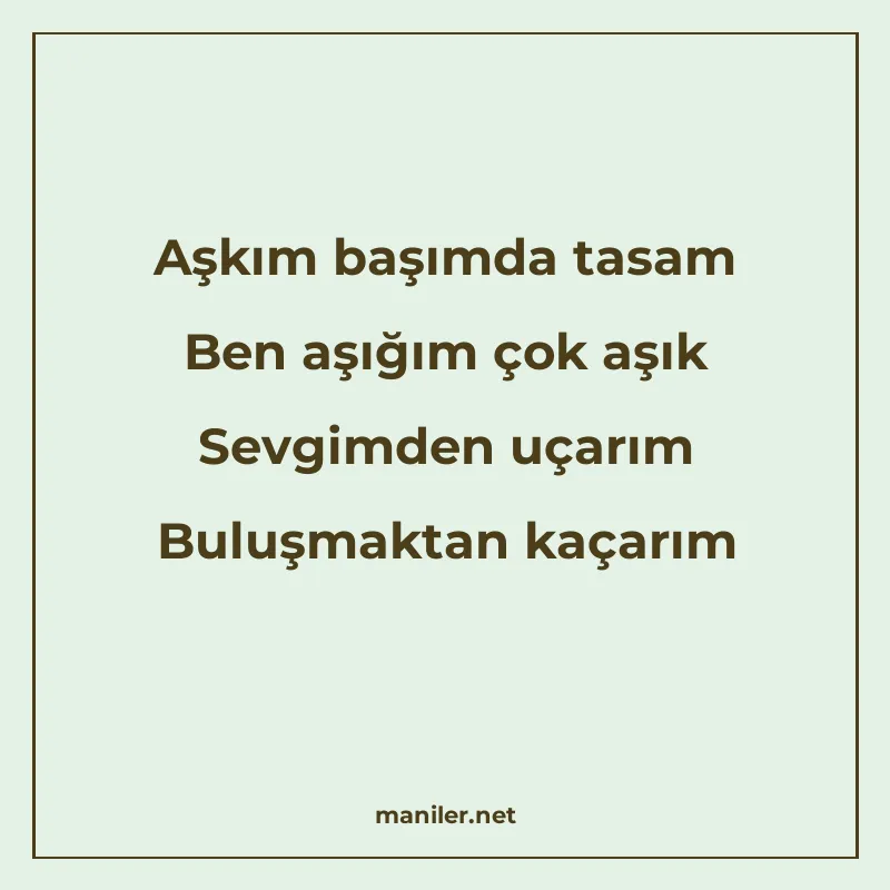 Aşkım başımda tasam Ben aşığım çok aşık Sevgimden uçarım Bul manisi görseli