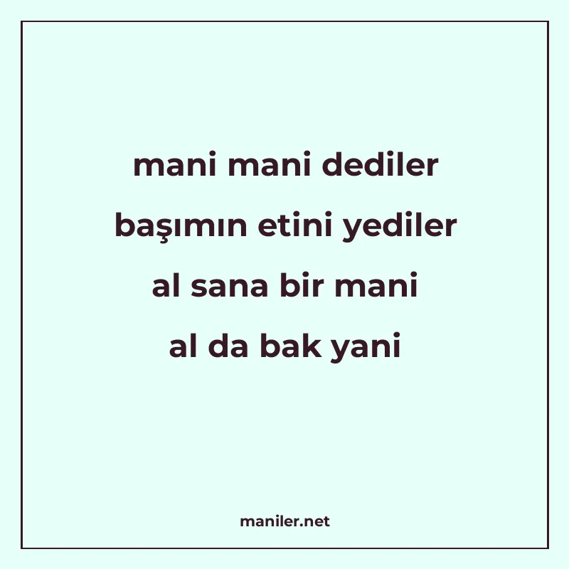 mani mani dediler başımın etini yediler al sana bir mani al manisi görseli