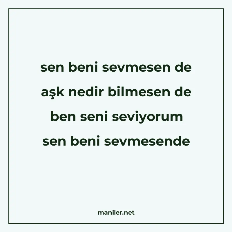 sen beni sevmesen de aşk nedir bilmesen de ben seni seviyoru manisi görseli
