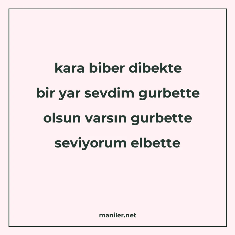 kara biber dibekte bir yar sevdim gurbette olsun varsın gurb manisi görseli