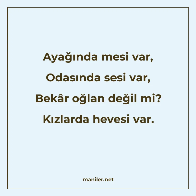 Ayağında mesi var, Odasında sesi var, Bekâr oğlan değil mi? manisi görseli