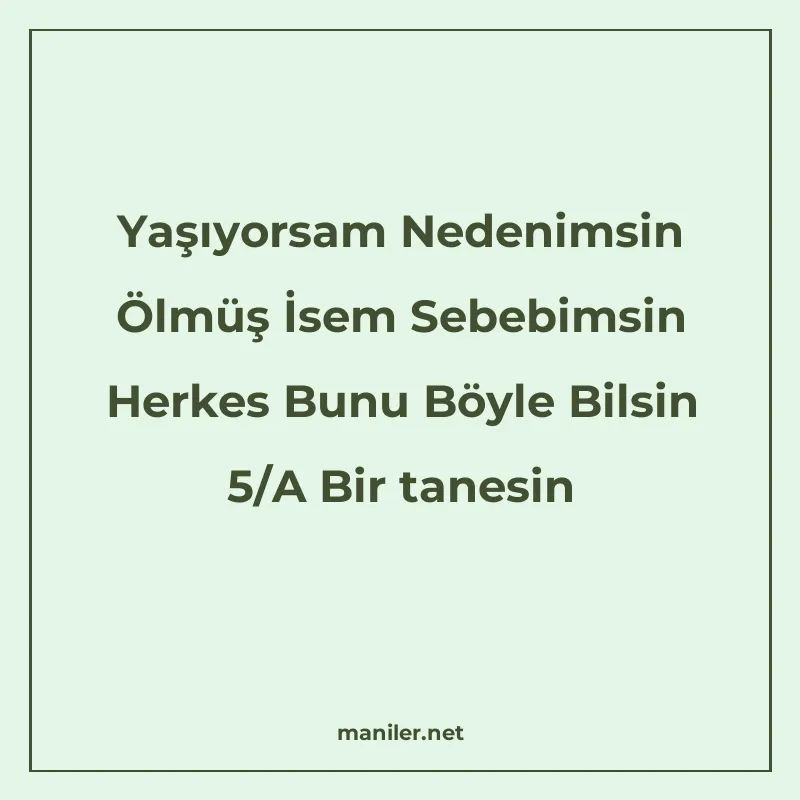 Yaşıyorsam Nedenimsin Ölmüş İsem Sebebimsin Herkes Bunu Böyl manisi görseli