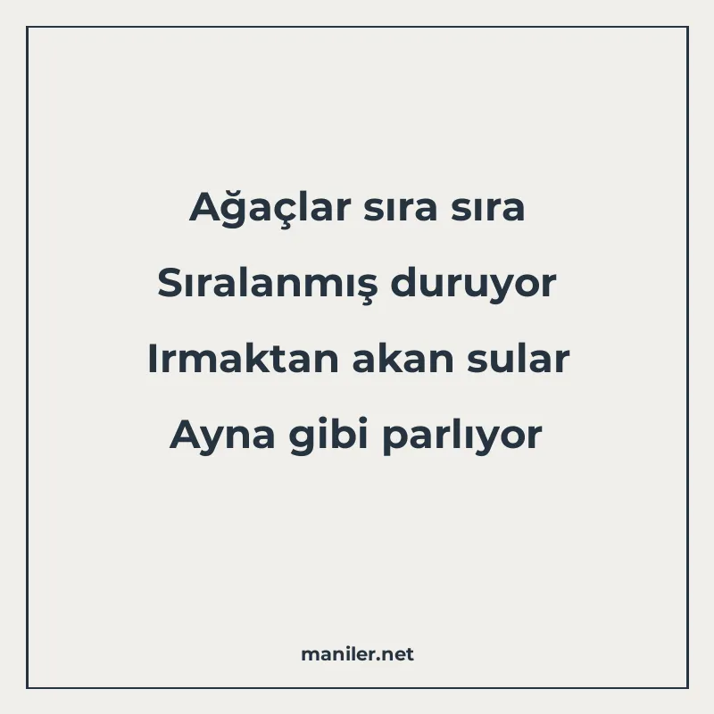 Ağaçlar sıra sıra Sıralanmış duruyor Irmaktan akan sular Ayn manisi görseli