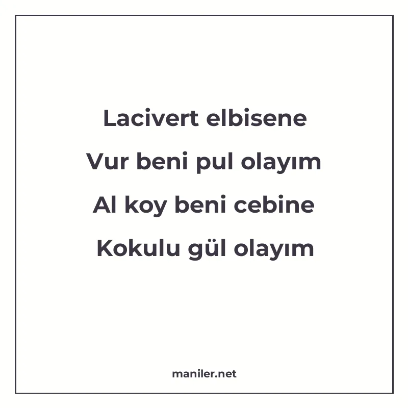 Lacivert elbisene Vur beni pul olayım Al koy beni cebine Kok manisi görseli