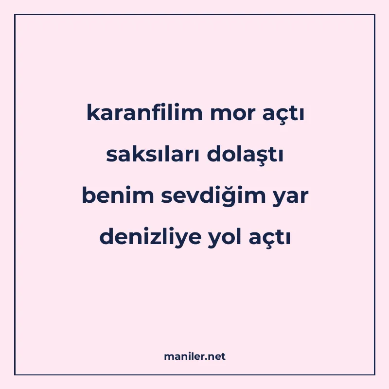 karanfilim mor açtı saksıları dolaştı benim sevdiğim yar den manisi görseli