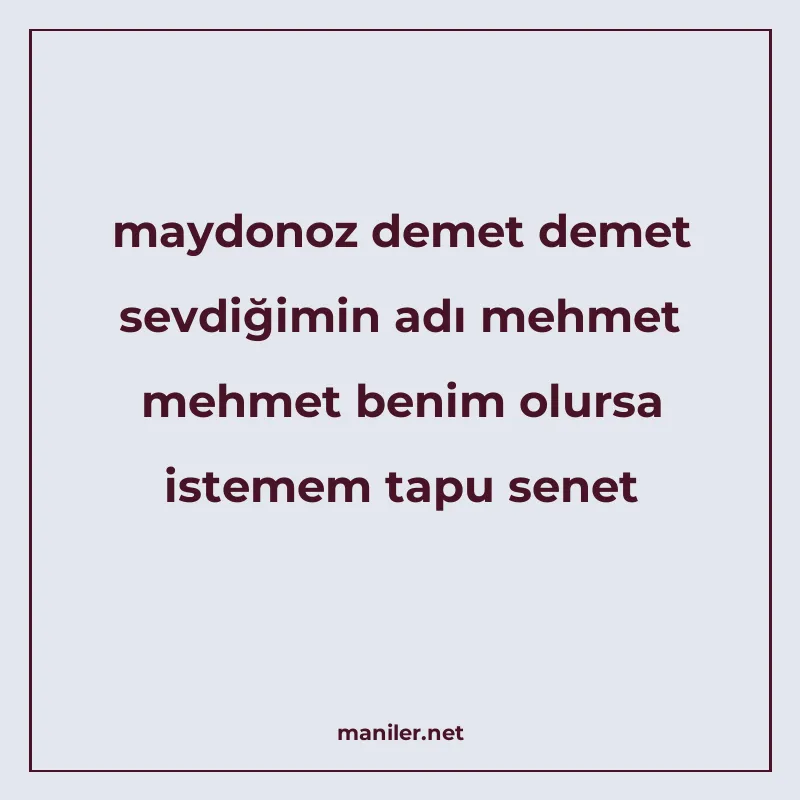 maydonoz demet demet sevdiğimin adı mehmet mehmet benim olur manisi görseli