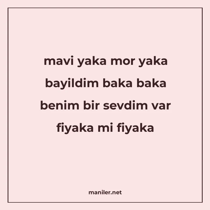 mavi yaka mor yaka bayildim baka baka benim bir sevdim var f manisi görseli