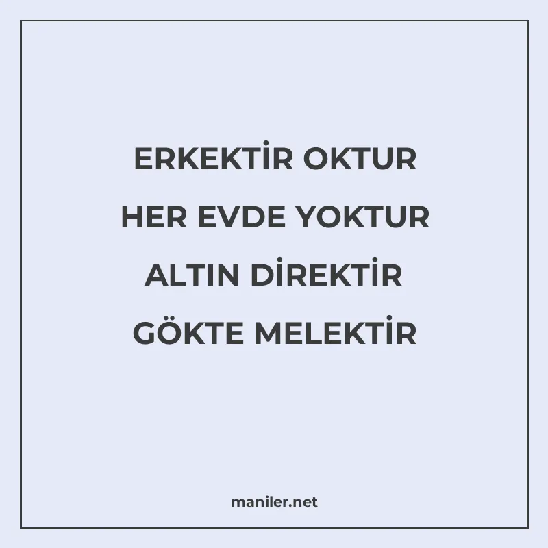 ERKEKTİR OKTUR HER EVDE YOKTUR ALTIN DİREKTİR GÖKTE MELEKTİR manisi görseli