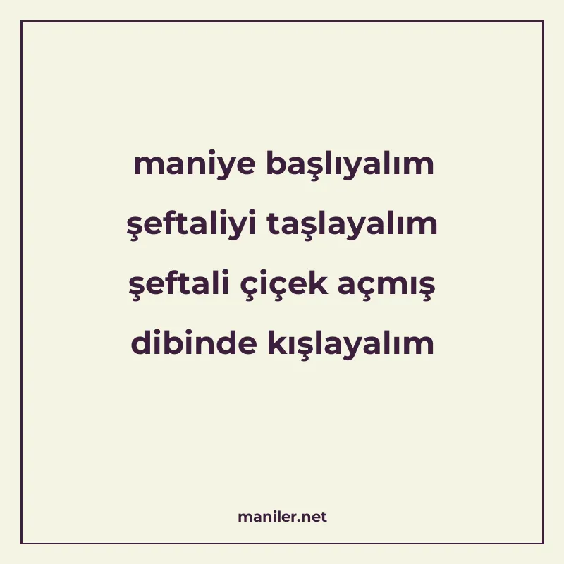 maniye başlıyalım şeftaliyi taşlayalım şeftali çiçek açmış d manisi görseli