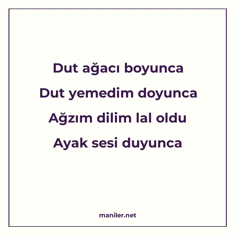 Dut ağacı boyunca Dut yemedim doyunca Ağzım dilim lal oldu A manisi görseli