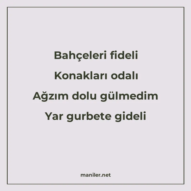 Bahçeleri fideli Konakları odalı Ağzım dolu gülmedim Yar gur manisi görseli