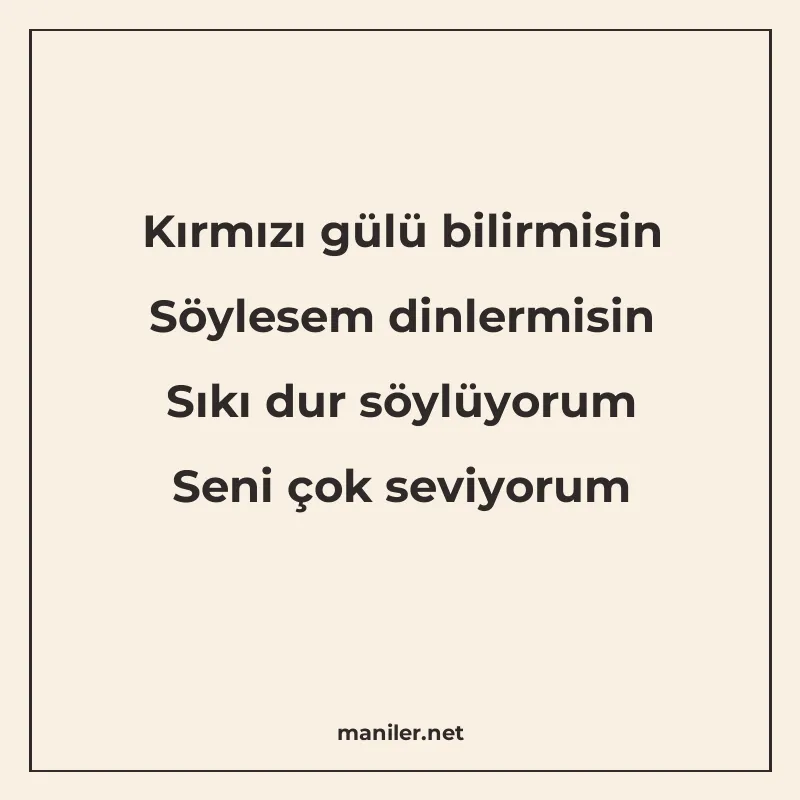 Kırmızı gülü bilirmisin Söylesem dinlermisin Sıkı dur söylüy manisi görseli