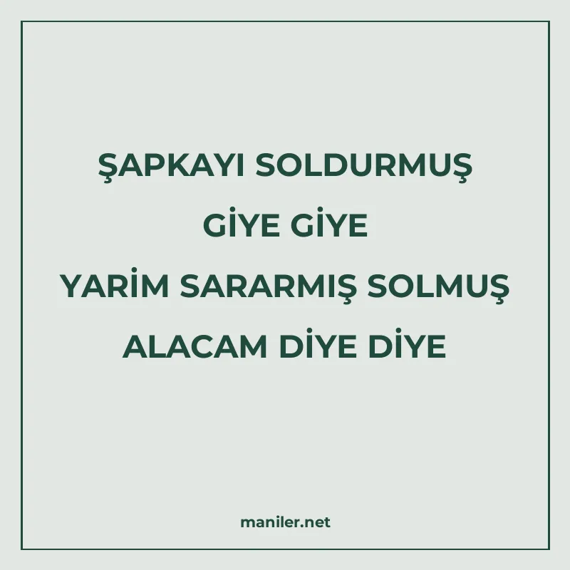 ŞAPKAYI SOLDURMUŞ GİYE GİYE YARİM SARARMIŞ SOLMUŞ ALACAM DİY manisi görseli