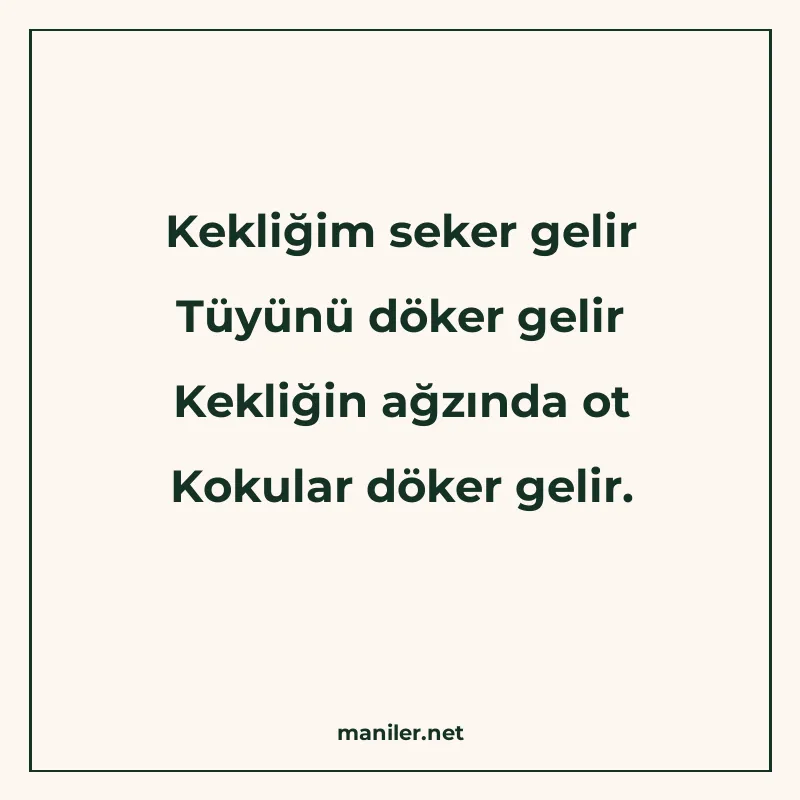 Kekliğim seker gelir Tüyünü döker gelir Kekliğin ağzında ot manisi görseli